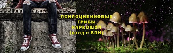 крисы Алексин