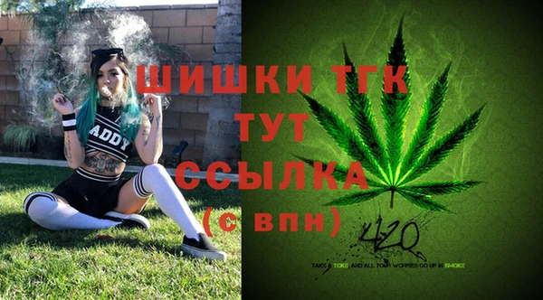 соль ск Алзамай
