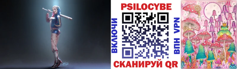блэк спрут ссылки  Кирс  Галлюциногенные грибы Cubensis 